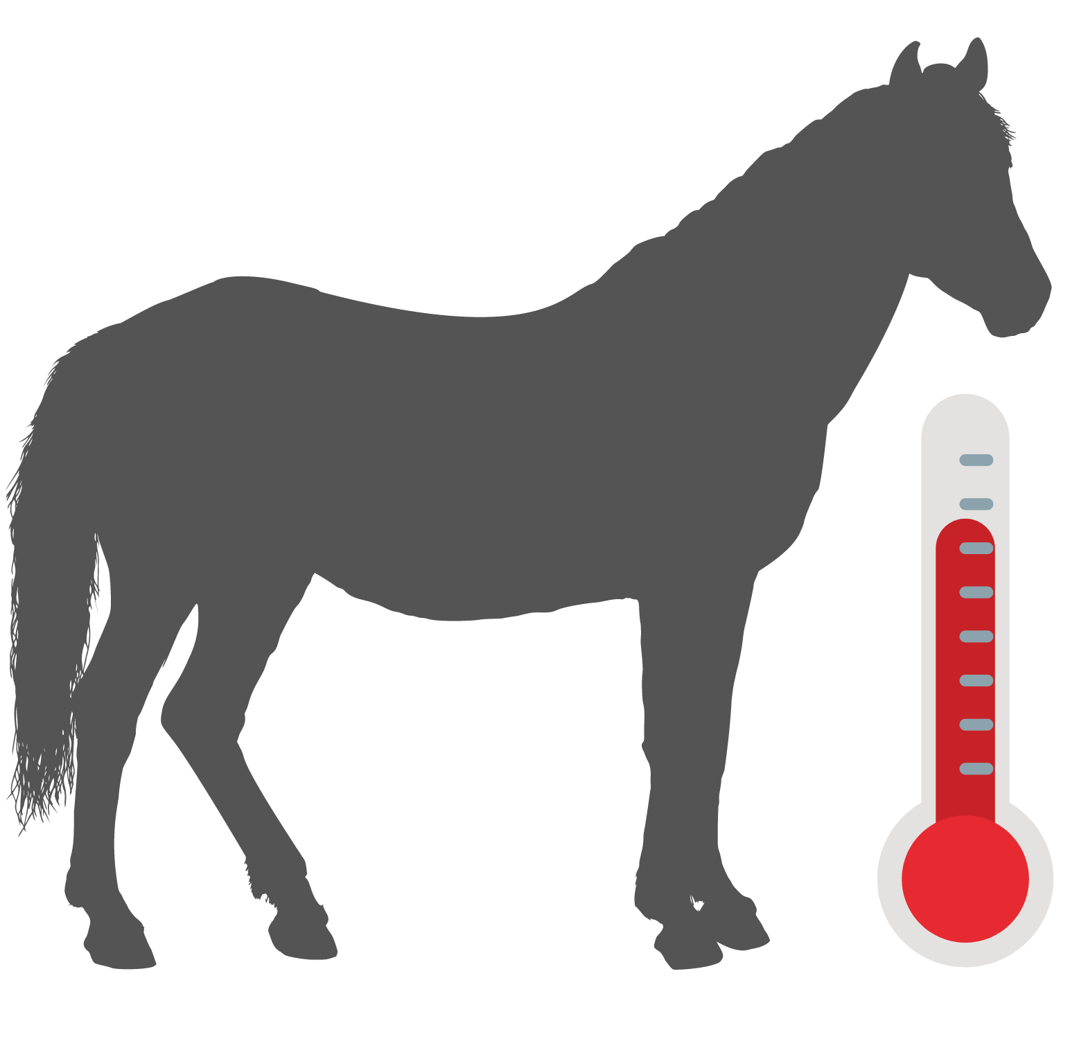 Horse next to thermometer